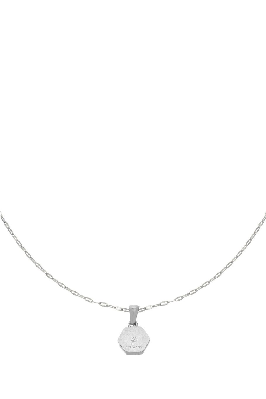 Kolye Kurt Silver Color Stainless Steel Resim3